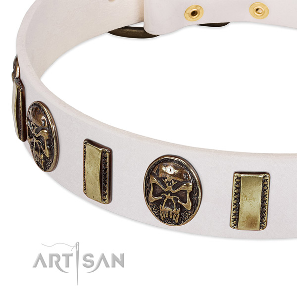 Reliable fittings on leather dog collar for your pet