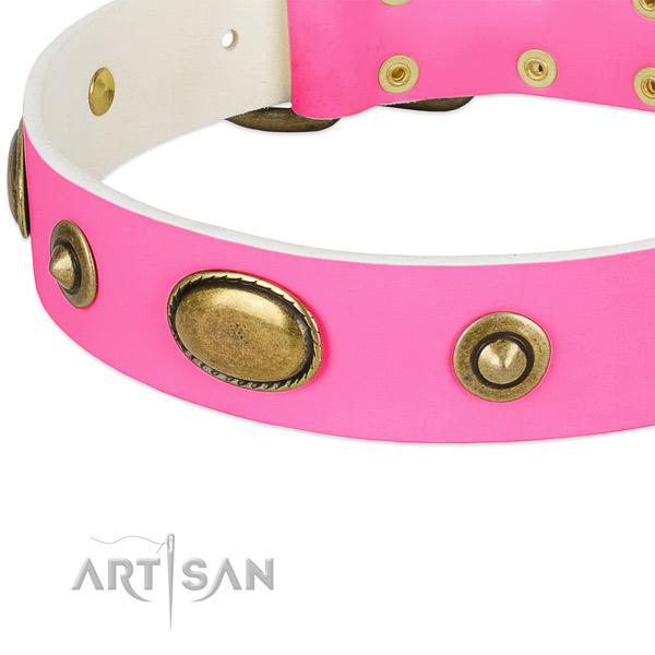 Corrosion proof traditional buckle on full grain genuine leather dog collar for your four-legged friend