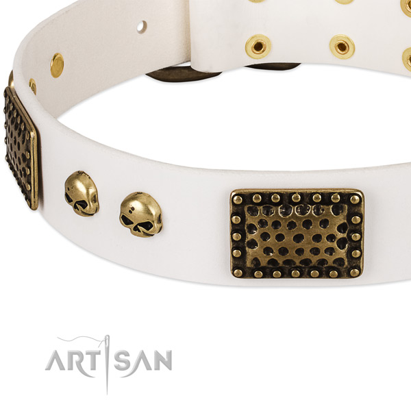 Durable adornments on full grain genuine leather dog collar for your four-legged friend