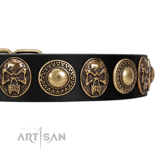 Leather dog collar with decorations for daily use