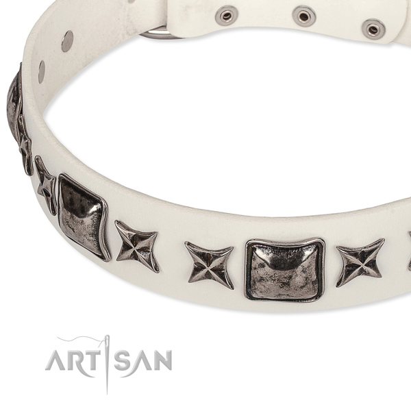 Daily walking studded dog collar of finest quality full grain natural leather