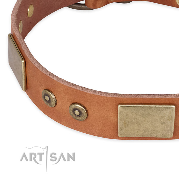 Rust-proof adornments on full grain leather dog collar for your four-legged friend