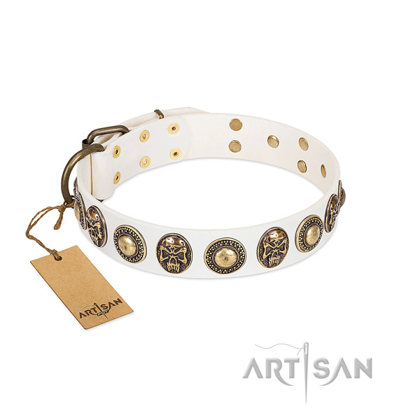 Easy to adjust full grain natural leather dog collar for everyday walking your dog