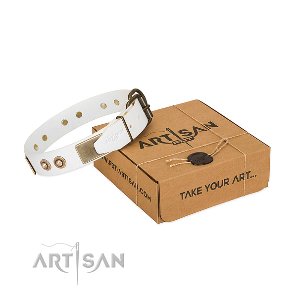 Corrosion proof studs on full grain natural leather dog collar for your dog