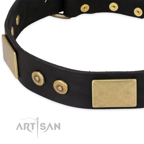 Strong studs on genuine leather dog collar for your dog