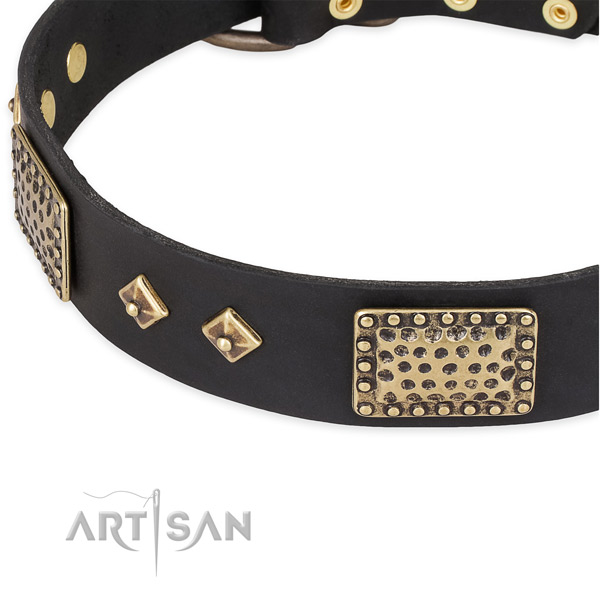 Rust-proof studs on full grain genuine leather dog collar for your canine