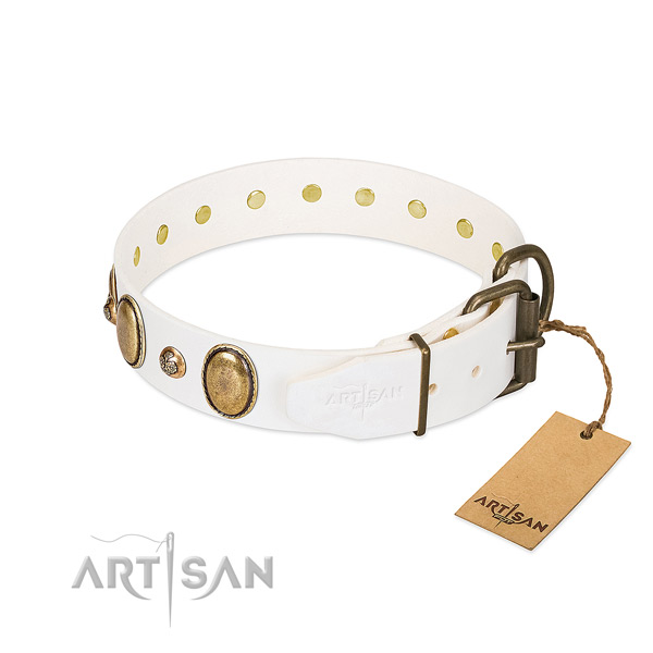 Daily walking genuine leather dog collar
