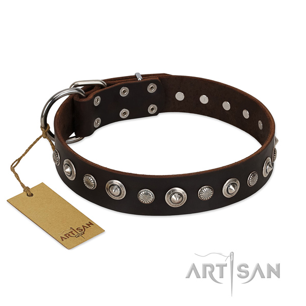 Top quality genuine leather dog collar with unusual adornments