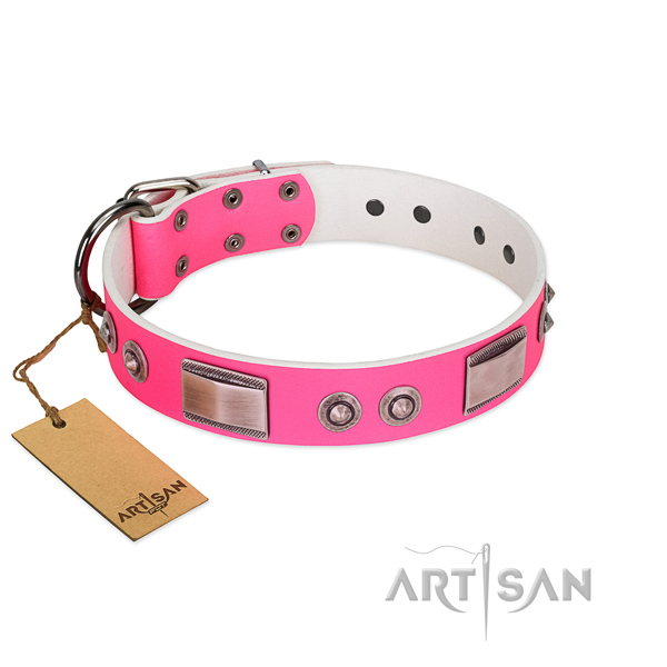 Unique dog collar of genuine leather with decorations