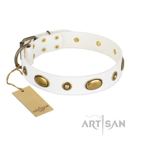 Decorated full grain leather collar for your dog