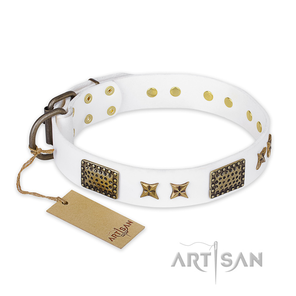 Incredible full grain genuine leather dog collar with corrosion resistant hardware