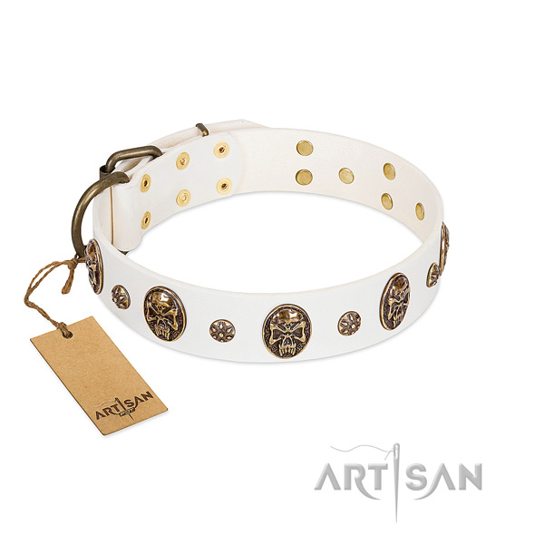 Incredible natural genuine leather collar for your canine