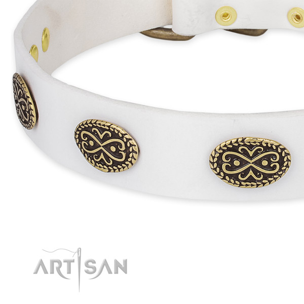 Remarkable leather collar for your impressive four-legged friend