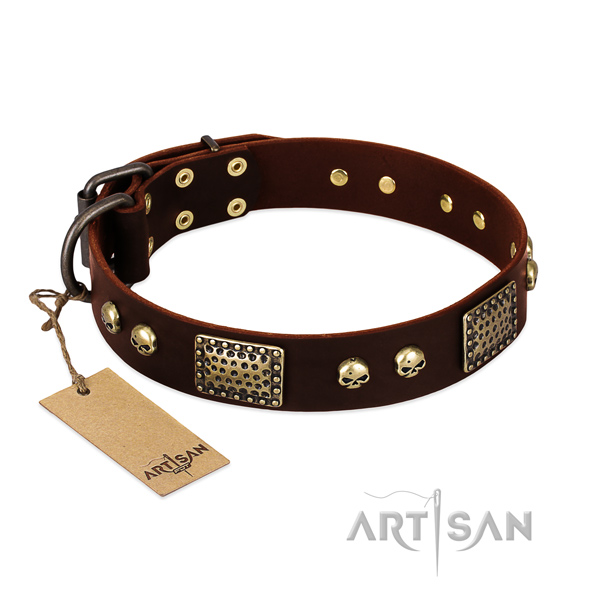 Easy to adjust genuine leather dog collar for everyday walking your four-legged friend