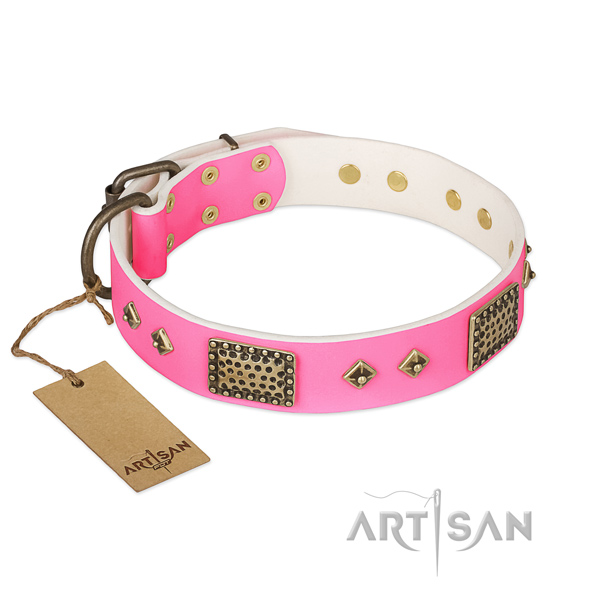 Easy to adjust genuine leather dog collar for basic training your pet
