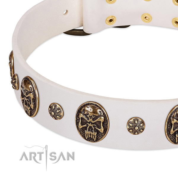 Corrosion proof studs on leather dog collar for your pet