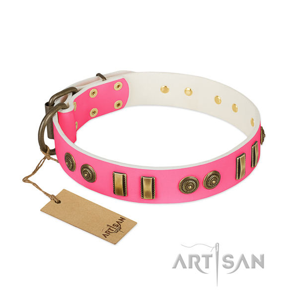 Exceptional full grain leather collar for your dog