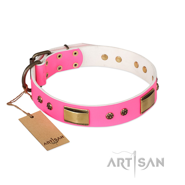 Exquisite leather collar for your dog