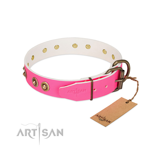 Genuine leather dog collar with strong buckle and embellishments