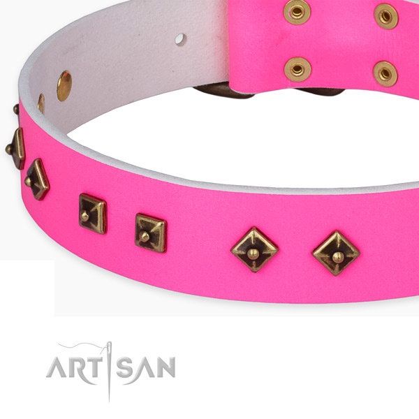Extraordinary full grain leather collar for your lovely dog