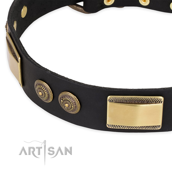 Unique full grain leather collar for your impressive four-legged friend