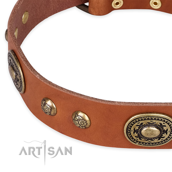 Significant genuine leather collar for your attractive pet