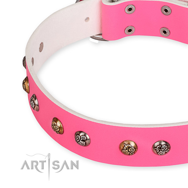 Full grain genuine leather dog collar with unusual corrosion proof embellishments