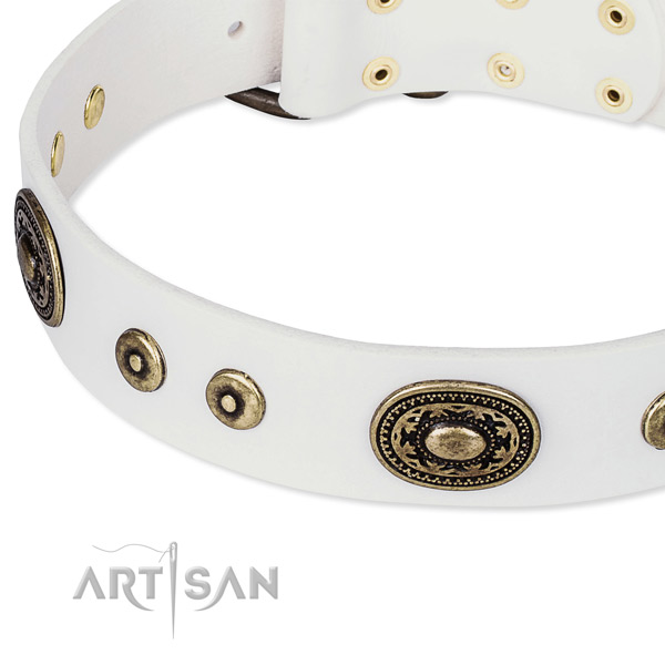 Full grain genuine leather dog collar made of high quality material with studs