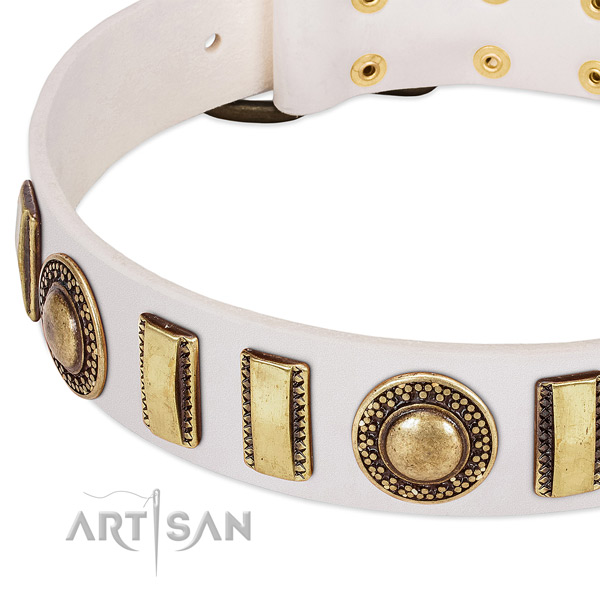 Strong leather dog collar with rust-proof buckle