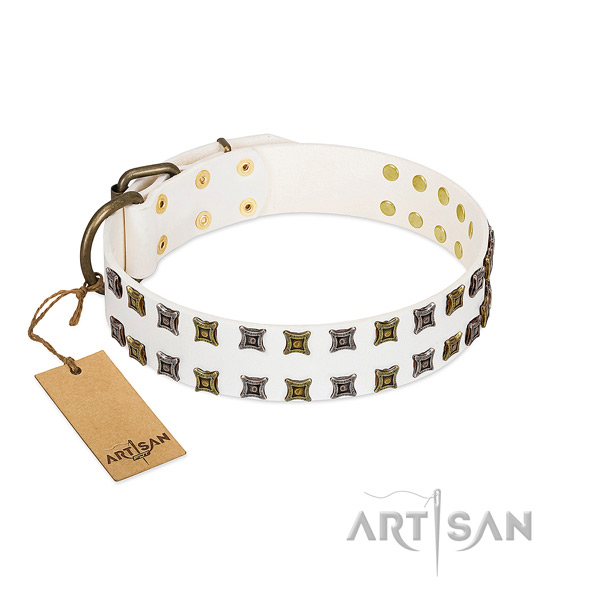 Reliable genuine leather dog collar with embellishments for your four-legged friend