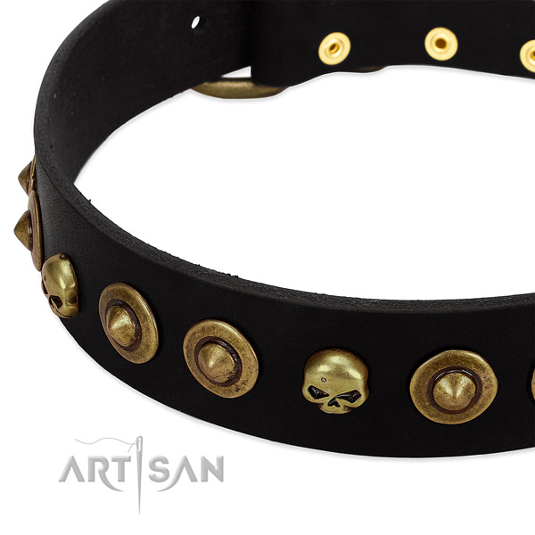 Genuine leather dog collar with remarkable decorations