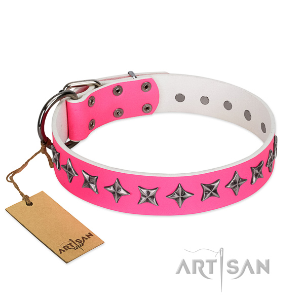 Fine quality leather dog collar with remarkable adornments