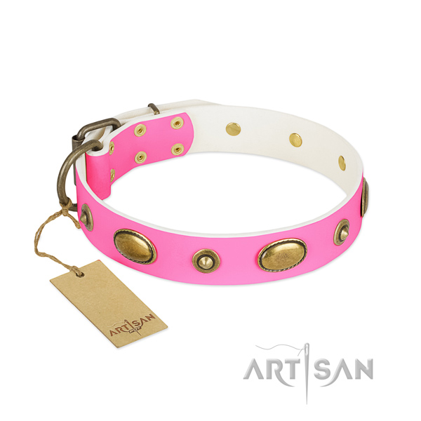 Top quality leather collar for your pet