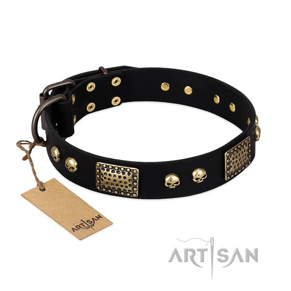 Easy to adjust full grain leather dog collar for basic training your four-legged friend