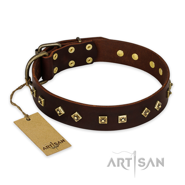 Decorated genuine leather dog collar with rust resistant buckle