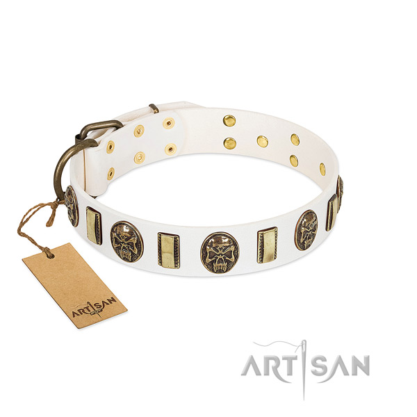 Inimitable full grain leather dog collar for daily walking