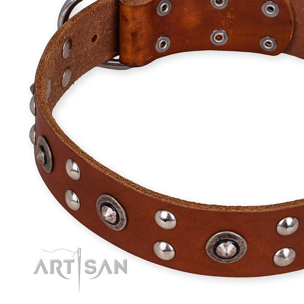 Full grain leather collar with corrosion proof buckle for your lovely four-legged friend