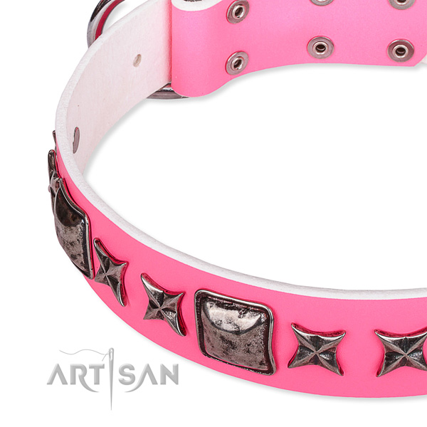 Daily walking studded dog collar of high quality full grain leather