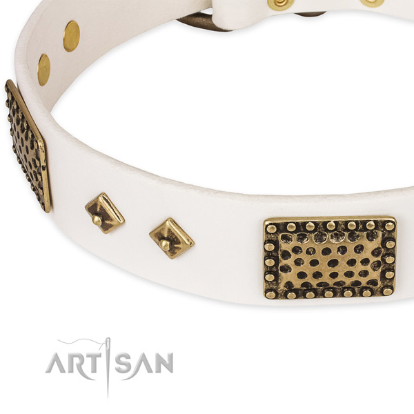 Durable adornments on genuine leather dog collar for your doggie