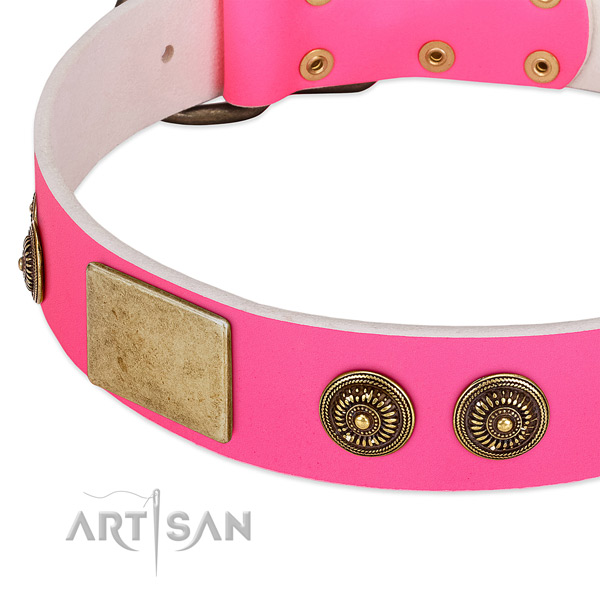 Best quality dog collar created for your stylish dog