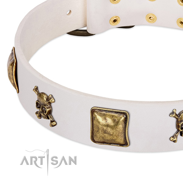 Trendy full grain genuine leather dog collar with rust resistant embellishments