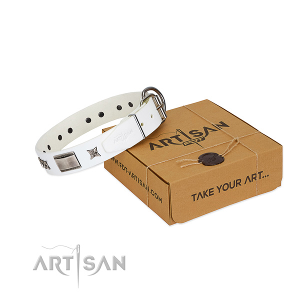 Studded collar of full grain natural leather for your attractive canine