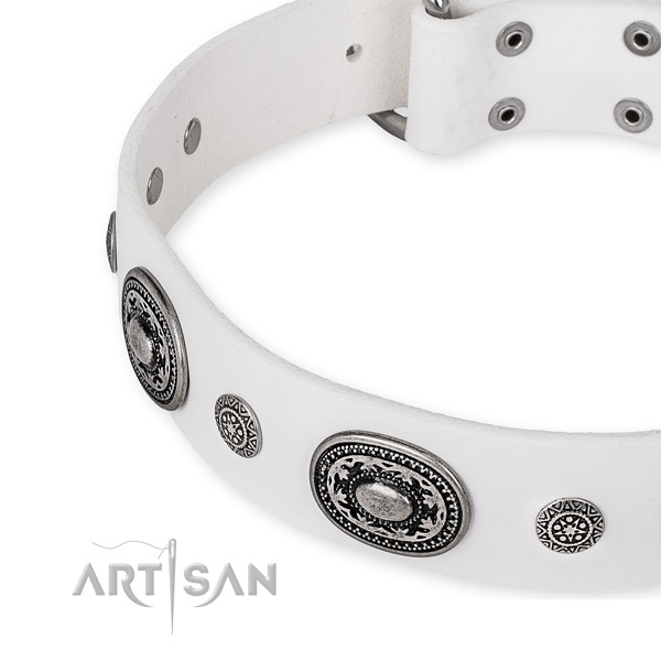 Gentle to touch full grain leather dog collar crafted for your impressive dog