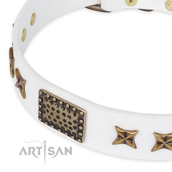 Genuine leather collar with corrosion resistant traditional buckle for your handsome dog