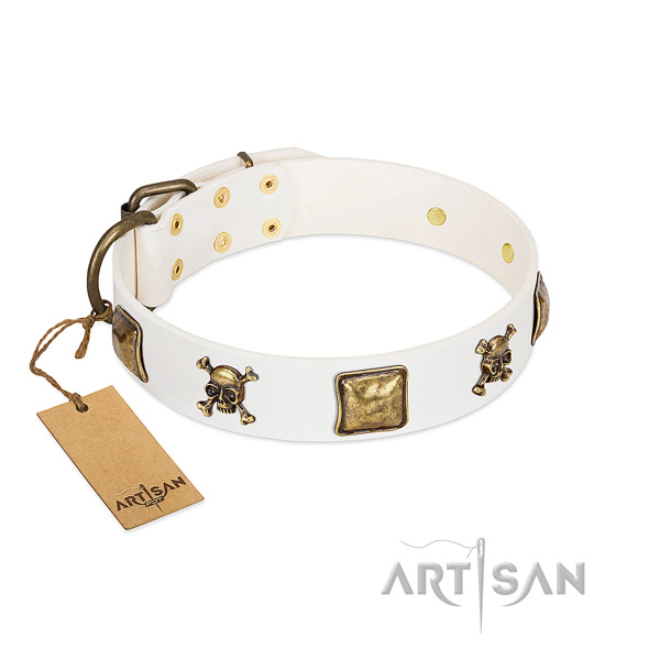 Awesome full grain leather dog collar with durable studs