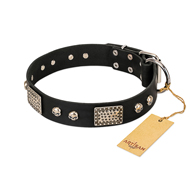 "Pirates Gold" FDT Artisan Black Leather Siberian Husky Collar with Old Silver Look Plates and Skulls