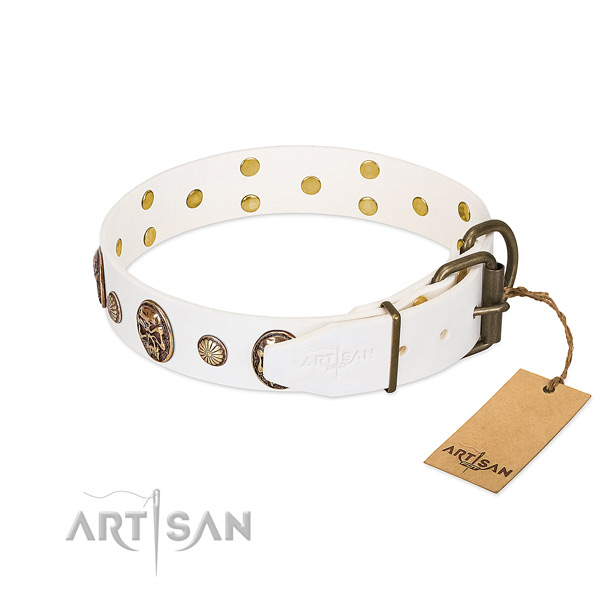 Corrosion resistant fittings on full grain genuine leather collar for basic training your doggie