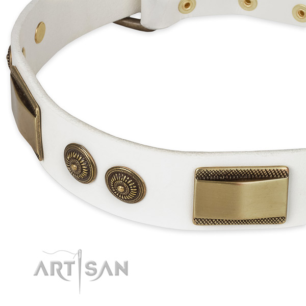 Rust resistant adornments on leather dog collar for your dog