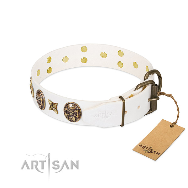 Strong buckle on full grain leather collar for basic training your four-legged friend