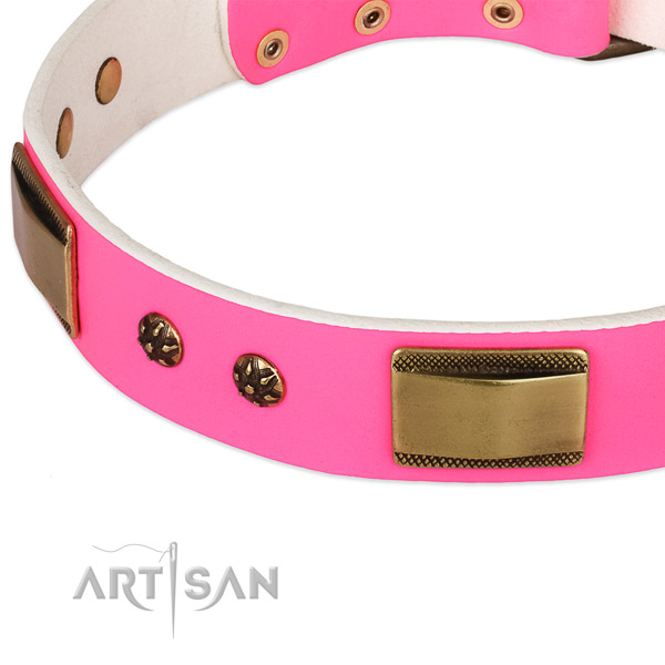 Rust resistant studs on leather dog collar for your pet